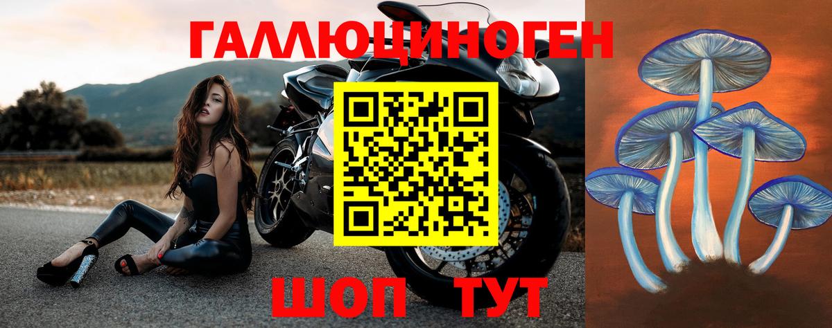 Псилоцибиновые грибы Psilocybine cubensis  Вход с VPN  Тулун 